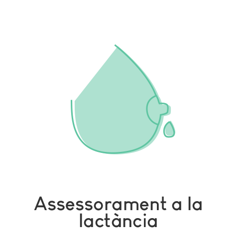 Assessorament a la lactància